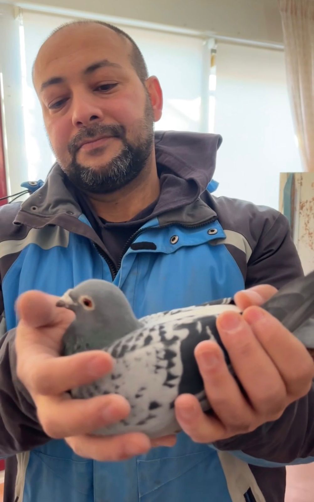 Semifinal Race - 350km