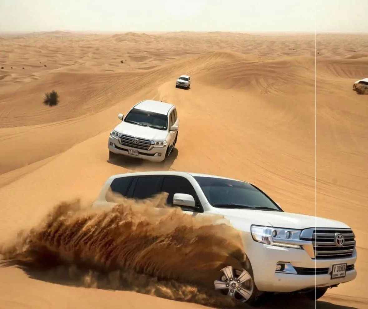 Safari & City Tour 6