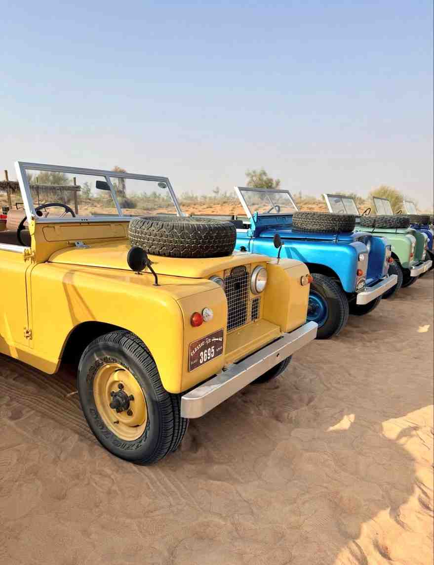 Safari & City Tour 11