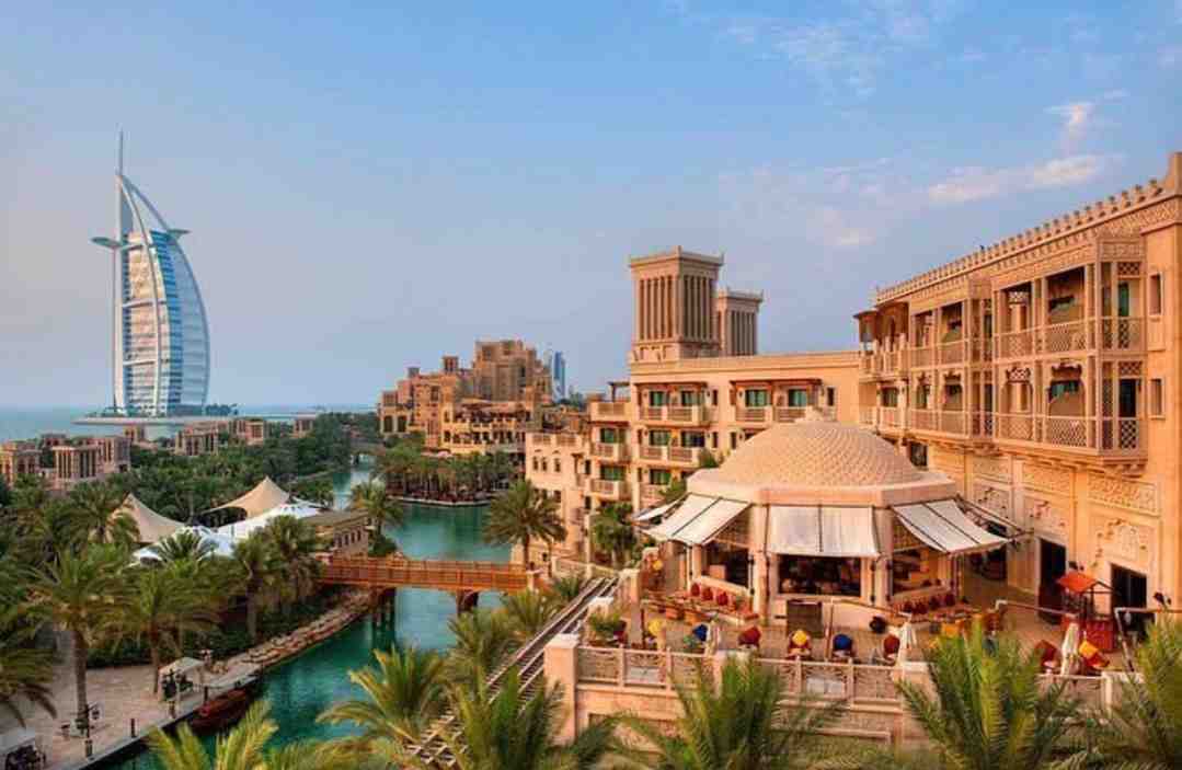 Safari & City Tour 13