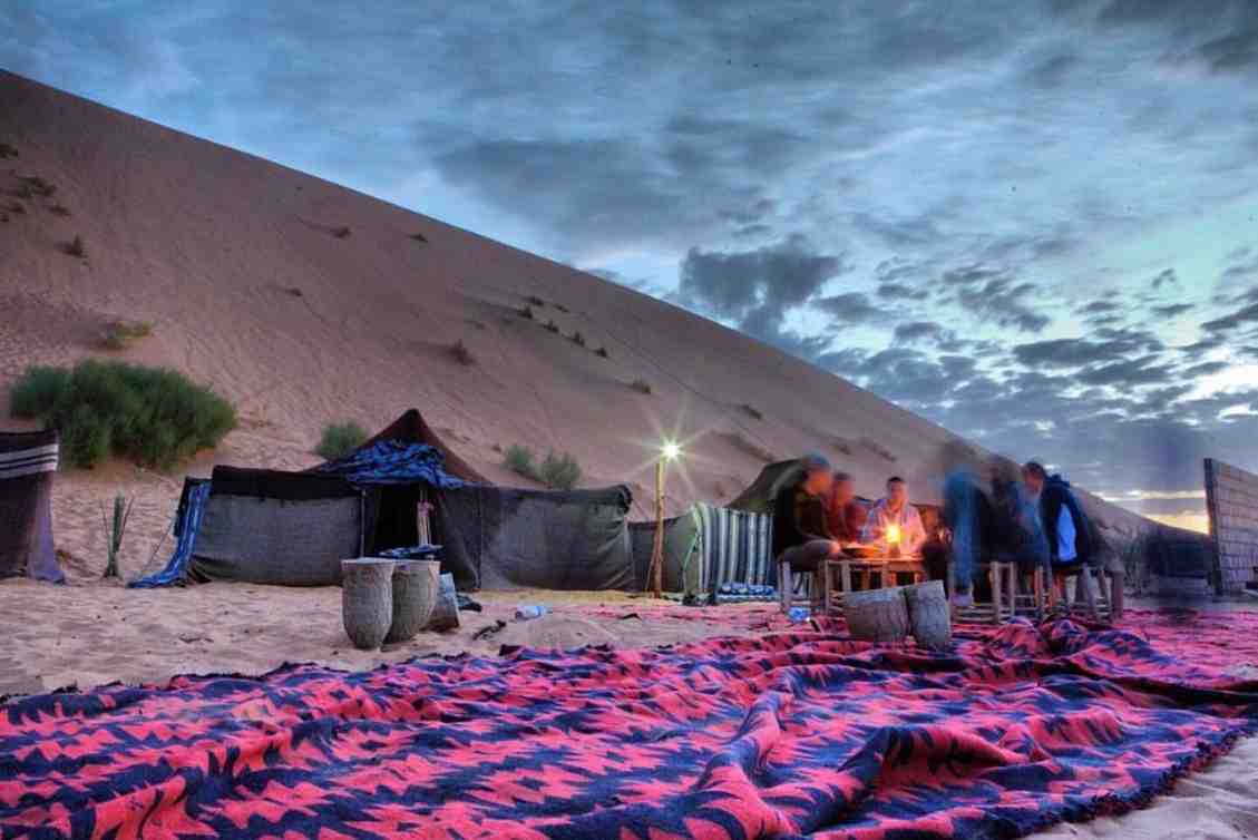 Safari & City Tour 17