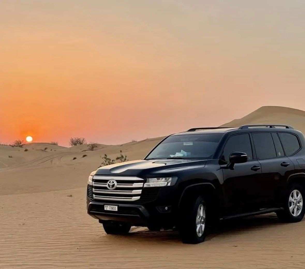 Safari & City Tour 19